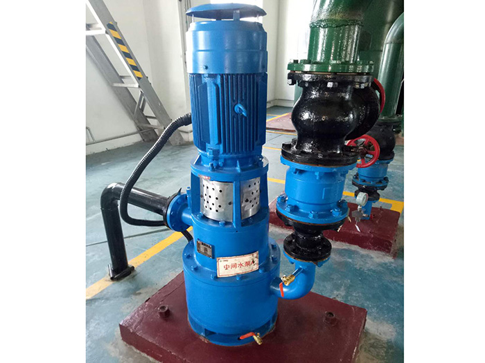國(guó)電蘭州范坪電廠發(fā)明專利無(wú)泄漏自吸泵